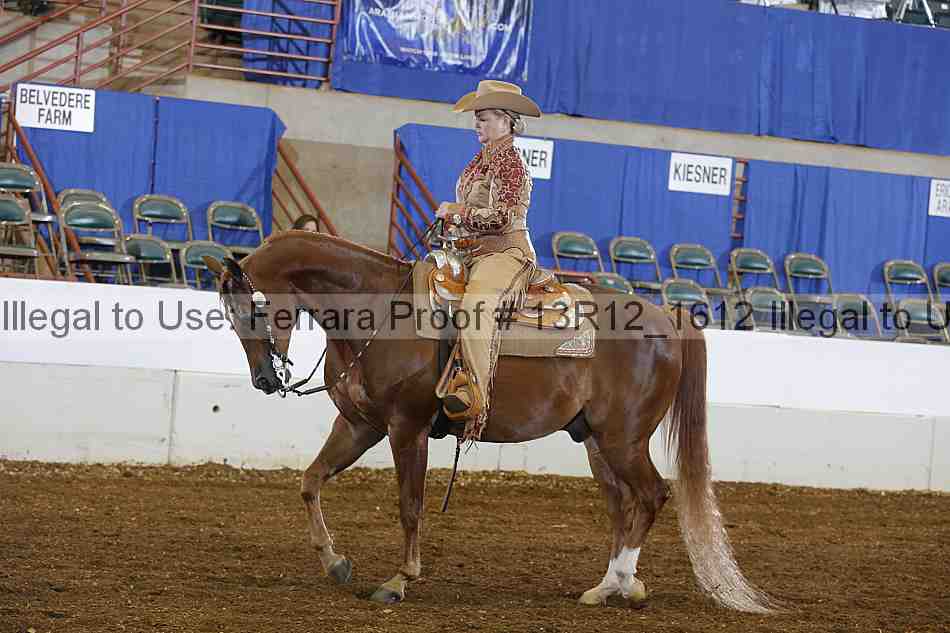 Proof Number 13r12_1612