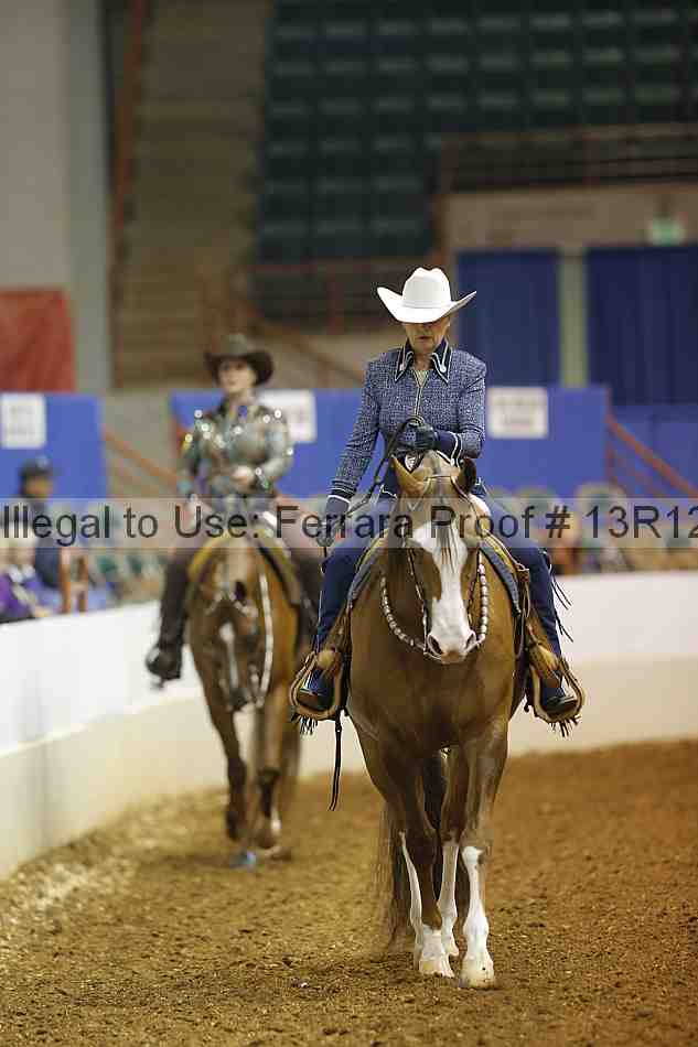 Proof Number 13r12_1613