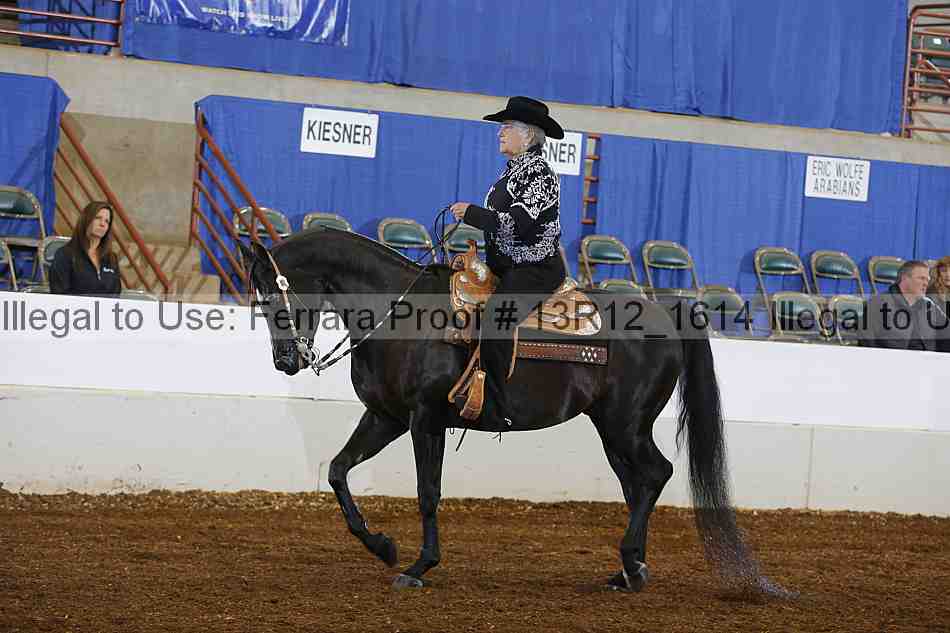 Proof Number 13r12_1614