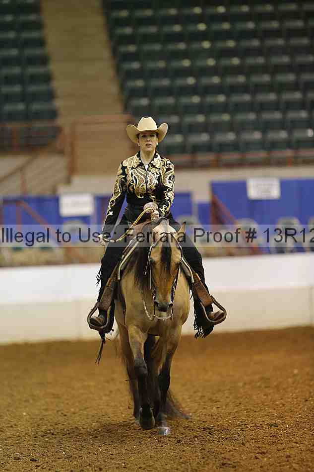 Proof Number 13r12_1616