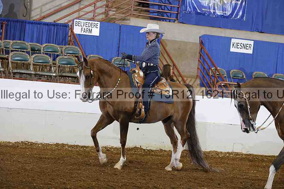 Proof Number 13r12_1621