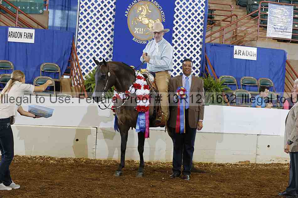 Proof Number 13r12_1632