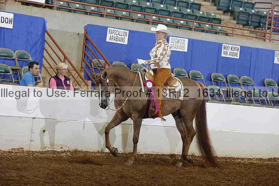 Proof Number 13r12_1634