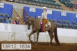 13r12_1634 thumbnail