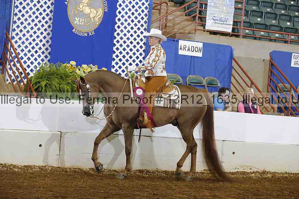 Proof Number 13r12_1635