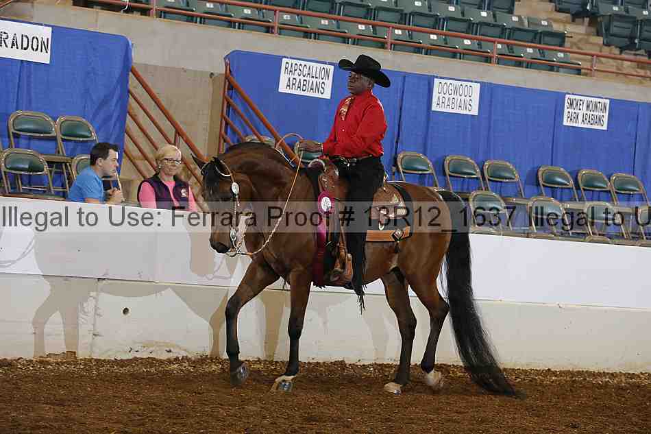 Proof Number 13r12_1637