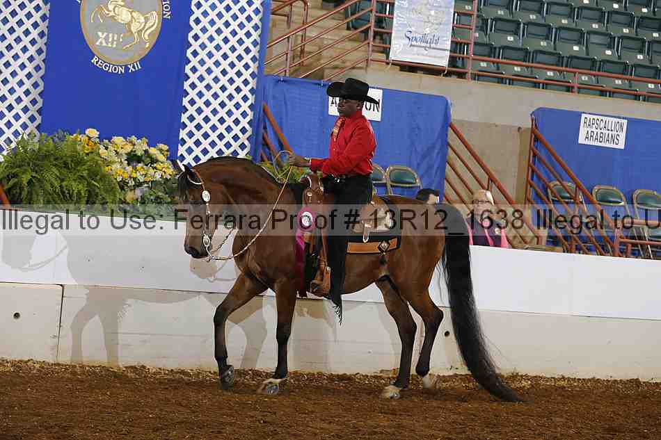 Proof Number 13r12_1638