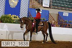 13r12_1638 thumbnail