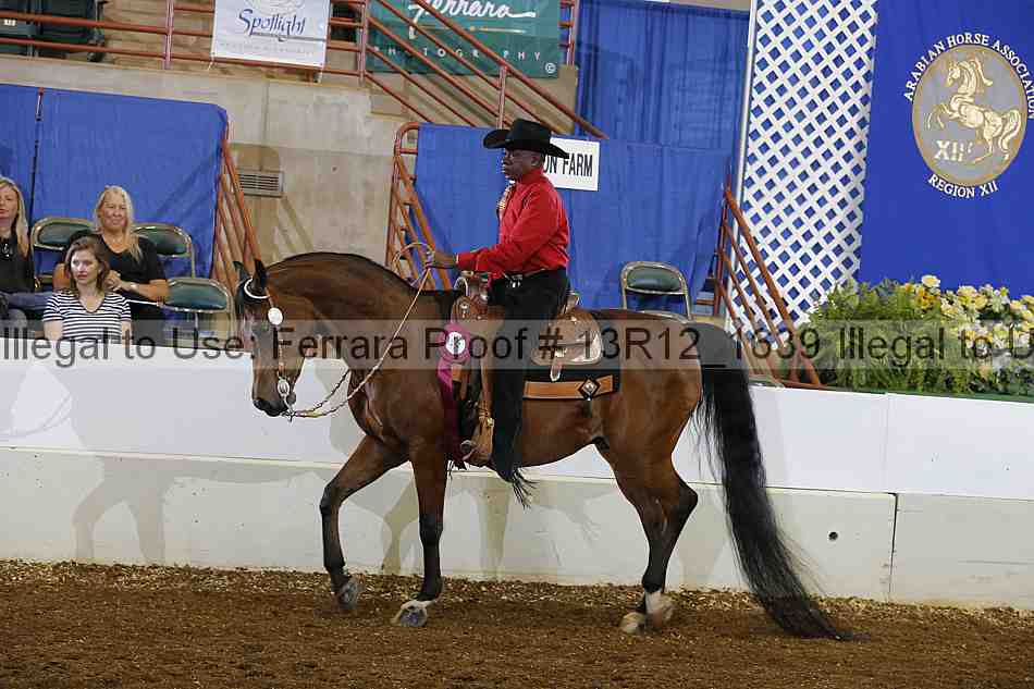 Proof Number 13r12_1639