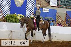 13r12_1641 thumbnail