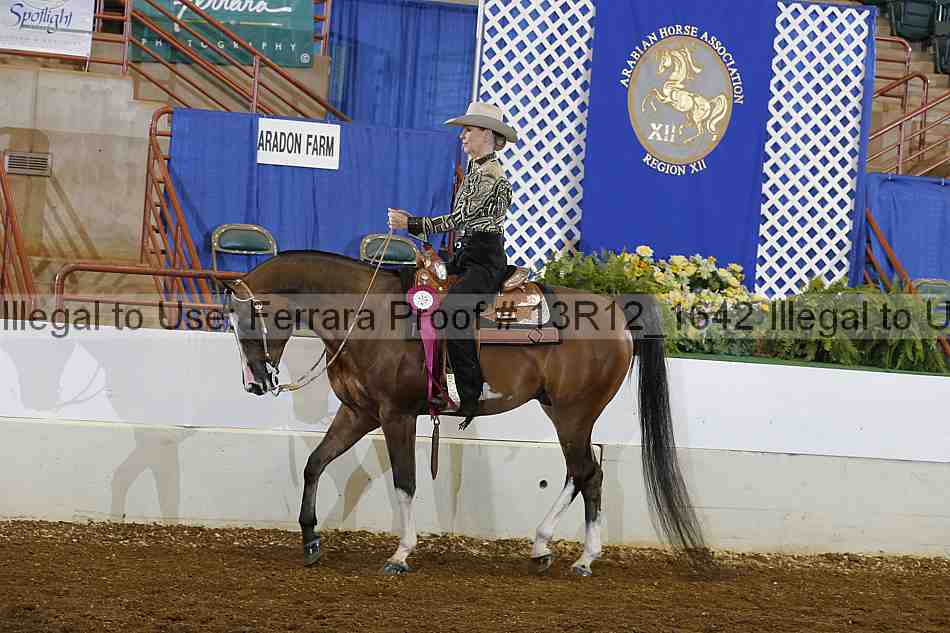 Proof Number 13r12_1642