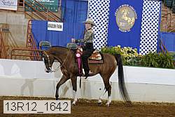 13r12_1642 thumbnail