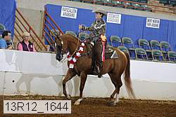 13r12_1644 thumbnail