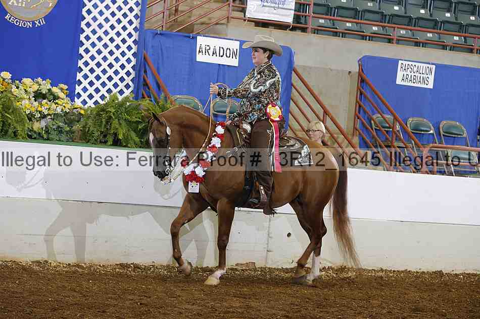 Proof Number 13r12_1645