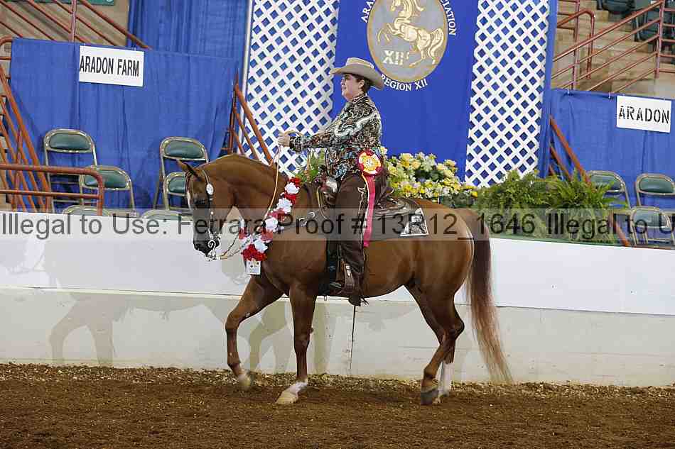 Proof Number 13r12_1646