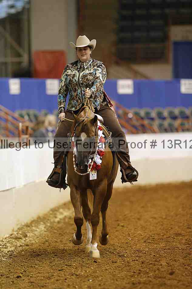 Proof Number 13r12_1647