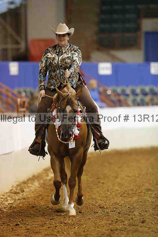 Proof Number 13r12_1648