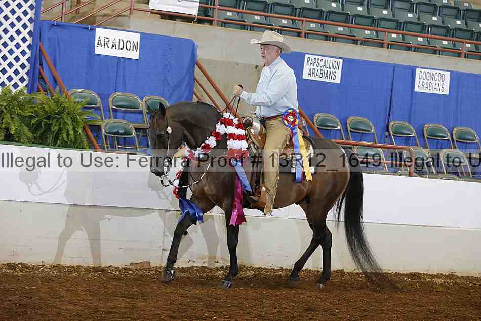 Proof Number 13r12_1649