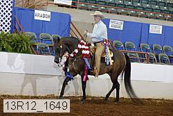 13r12_1649 thumbnail