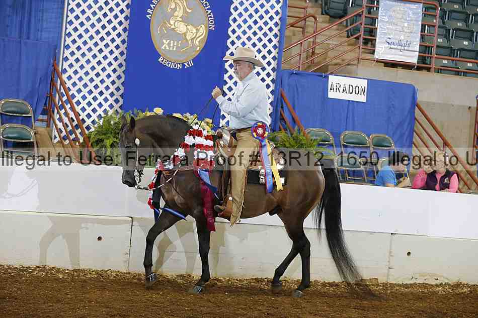 Proof Number 13r12_1650