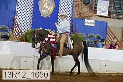 13r12_1650 thumbnail
