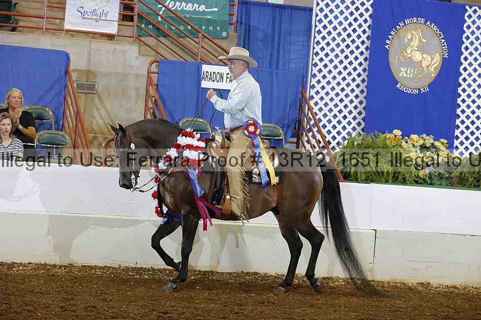Proof Number 13r12_1651