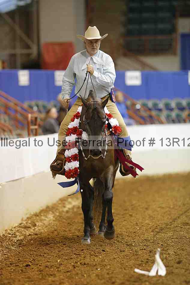 Proof Number 13r12_1653