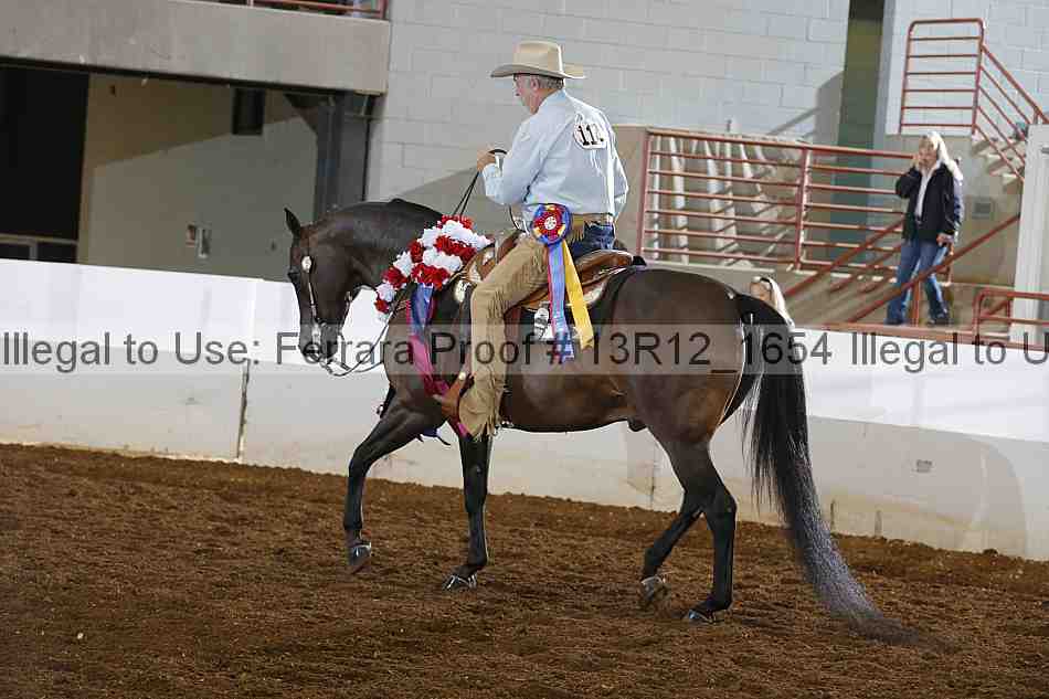 Proof Number 13r12_1654