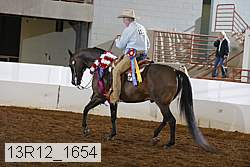13r12_1654 thumbnail