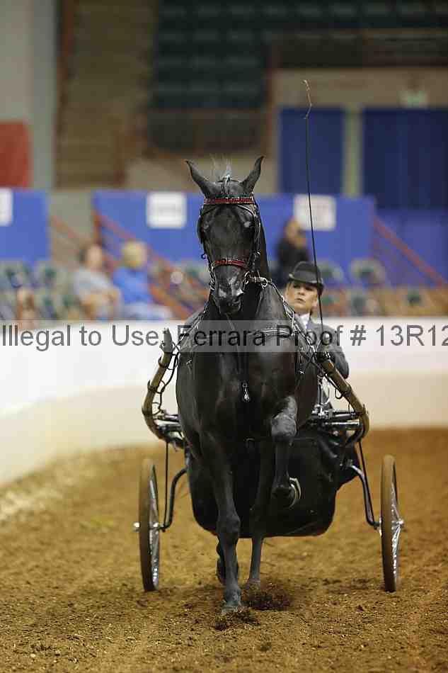 Proof Number 13r12_1679
