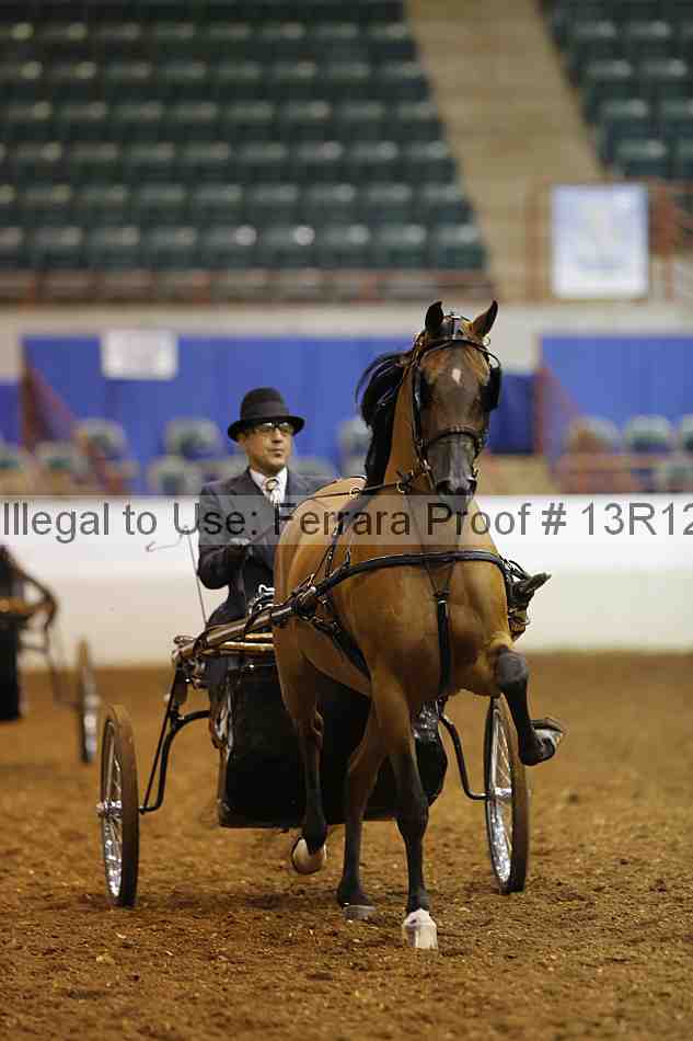 Proof Number 13r12_1682