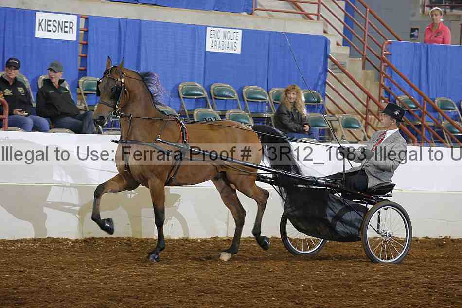 Proof Number 13r12_1683