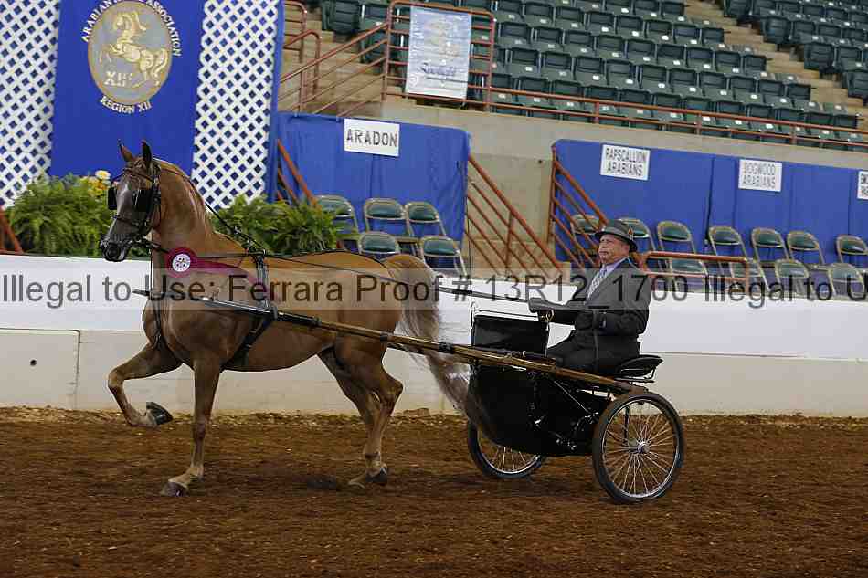 Proof Number 13r12_1700