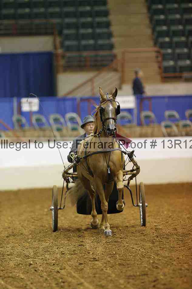 Proof Number 13r12_1701