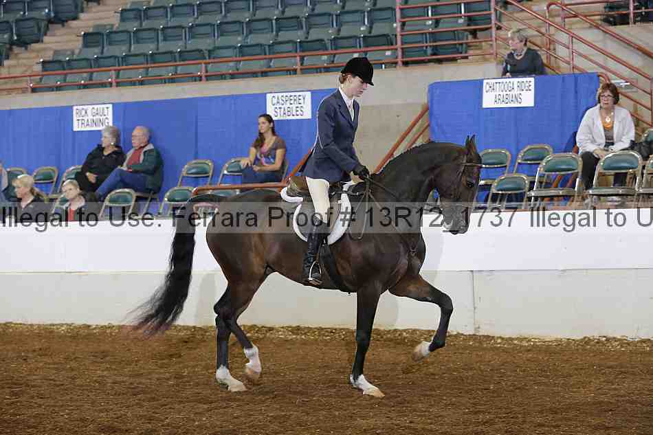 Proof Number 13r12_1737