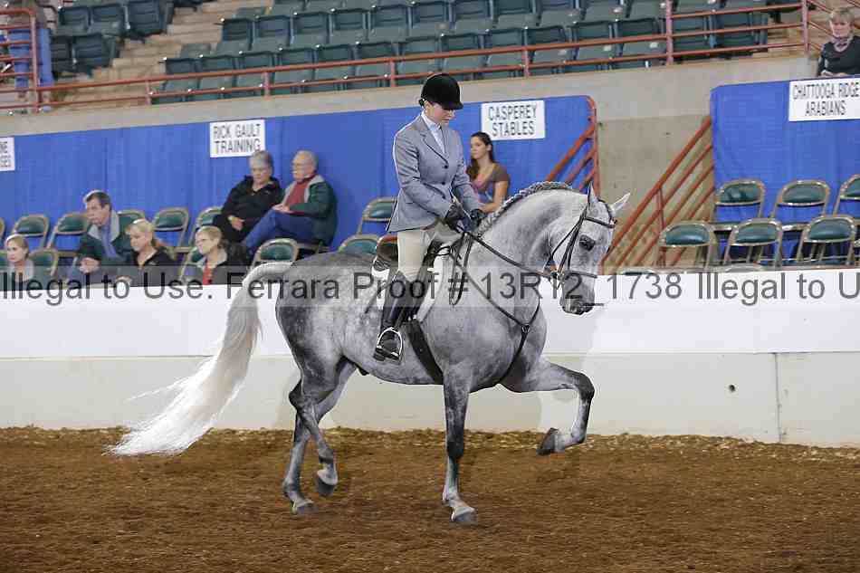 Proof Number 13r12_1738