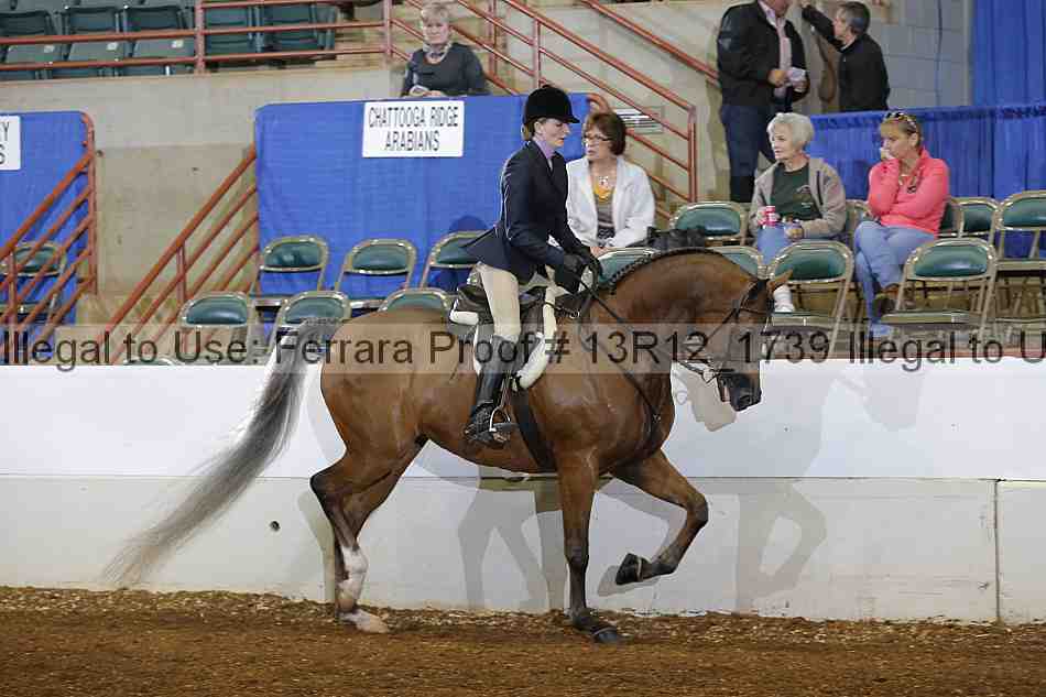 Proof Number 13r12_1739
