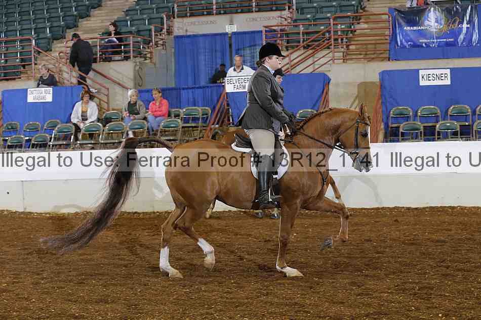 Proof Number 13r12_1741