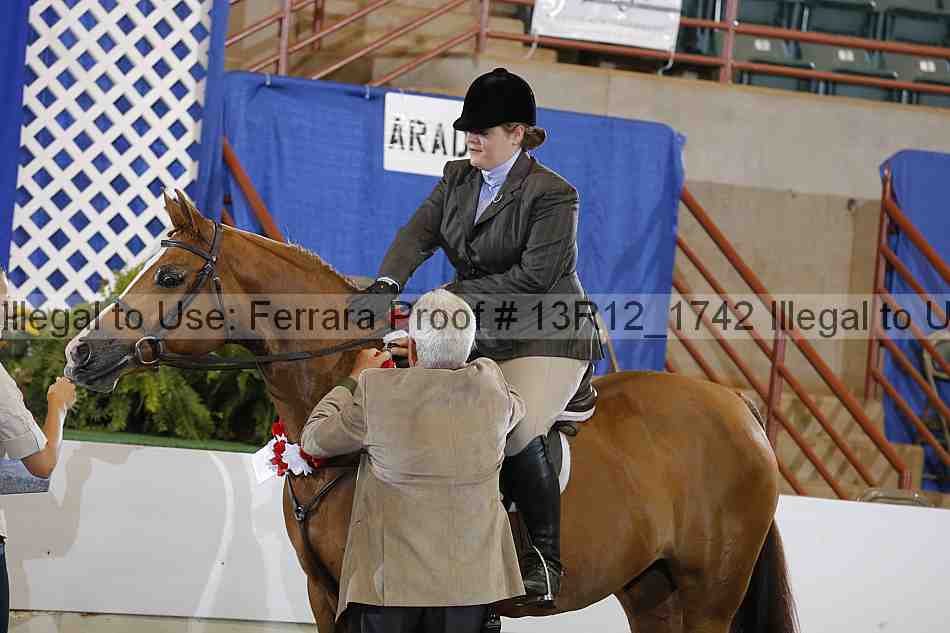 Proof Number 13r12_1742