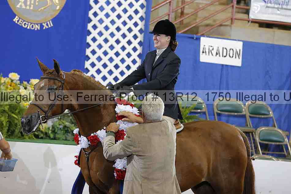Proof Number 13r12_1750