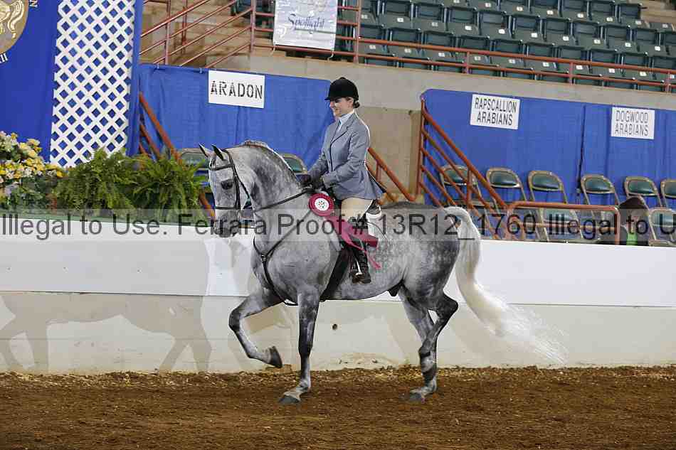 Proof Number 13r12_1760