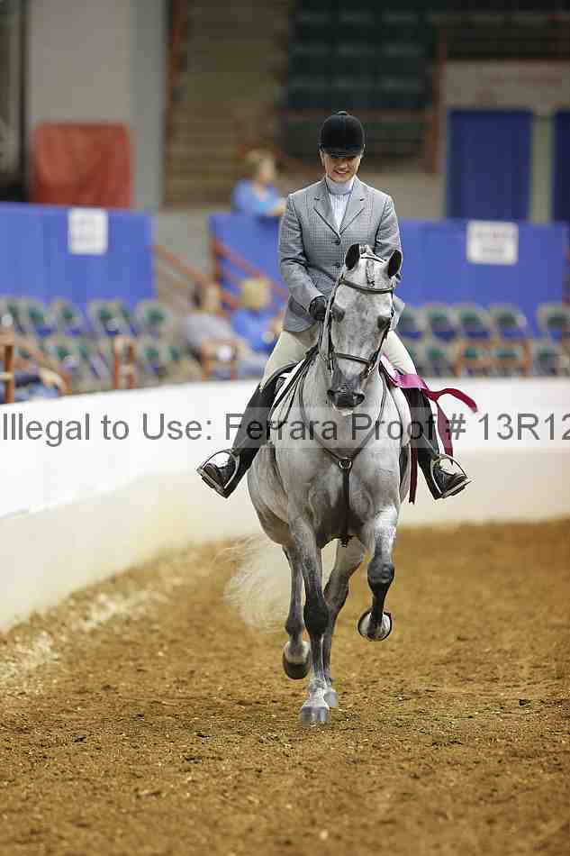 Proof Number 13r12_1761