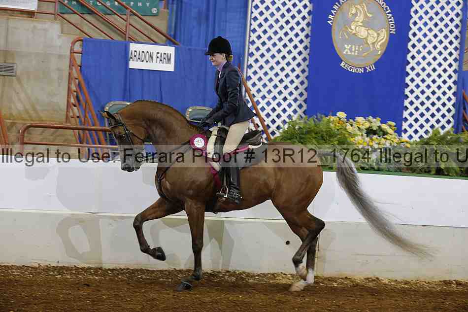 Proof Number 13r12_1764