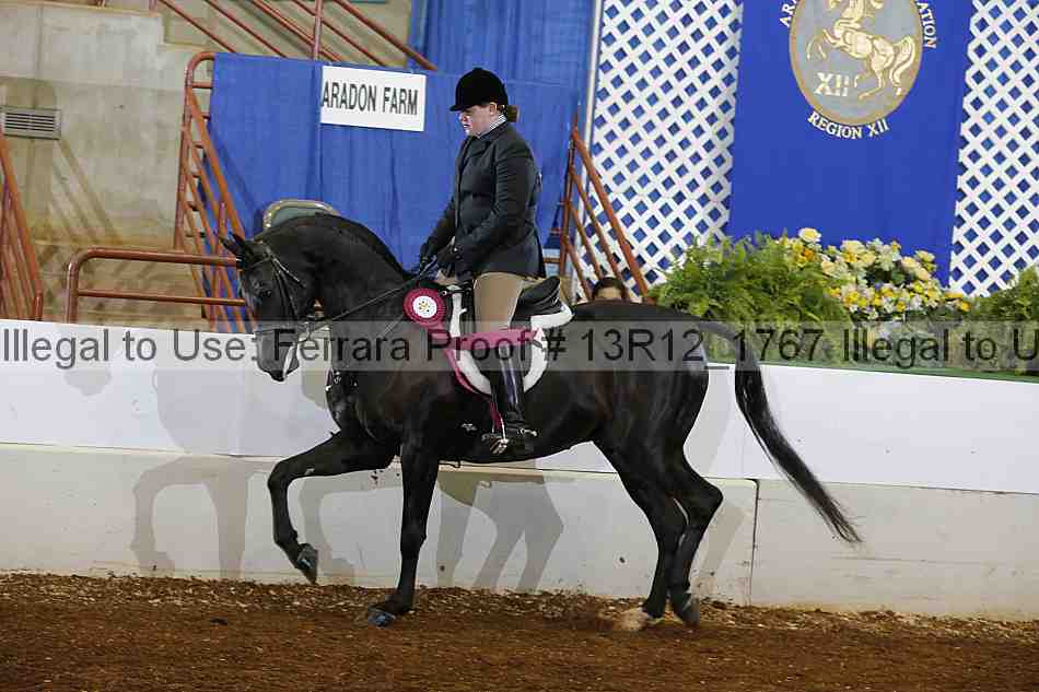 Proof Number 13r12_1767