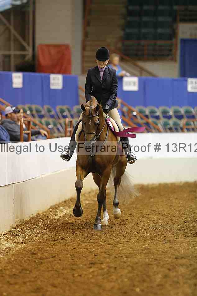 Proof Number 13r12_1768