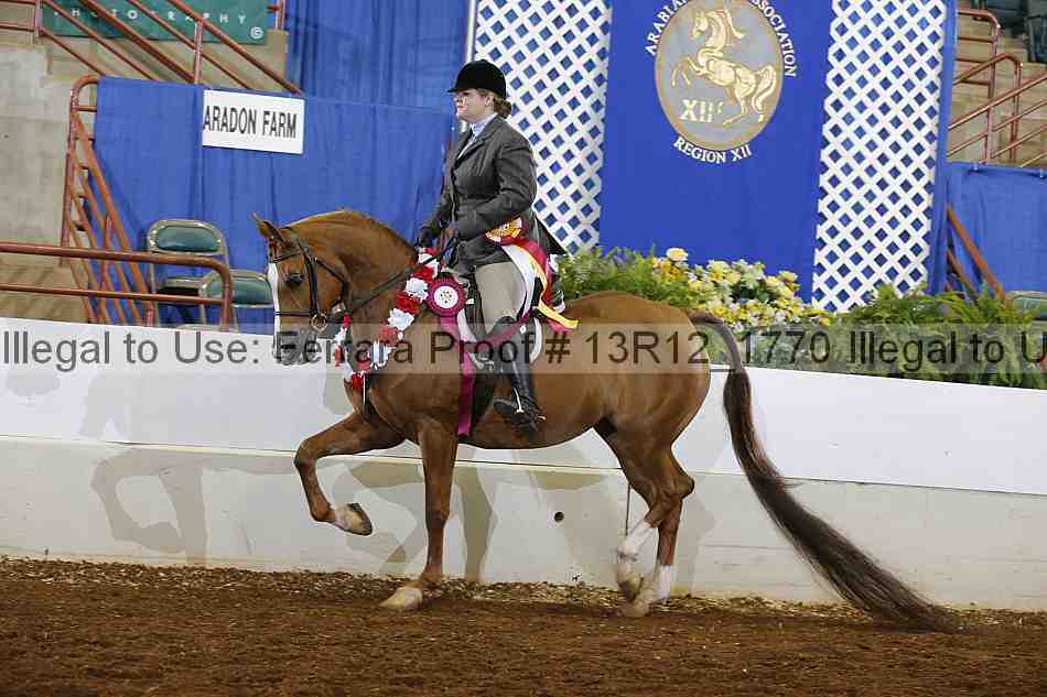 Proof Number 13r12_1770