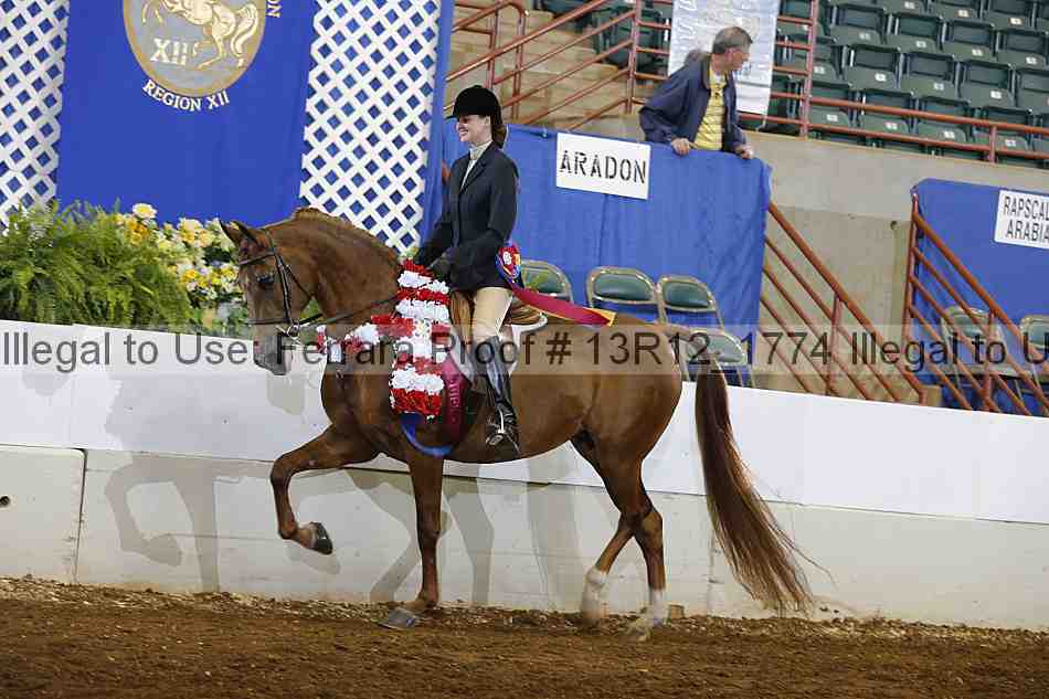 Proof Number 13r12_1774