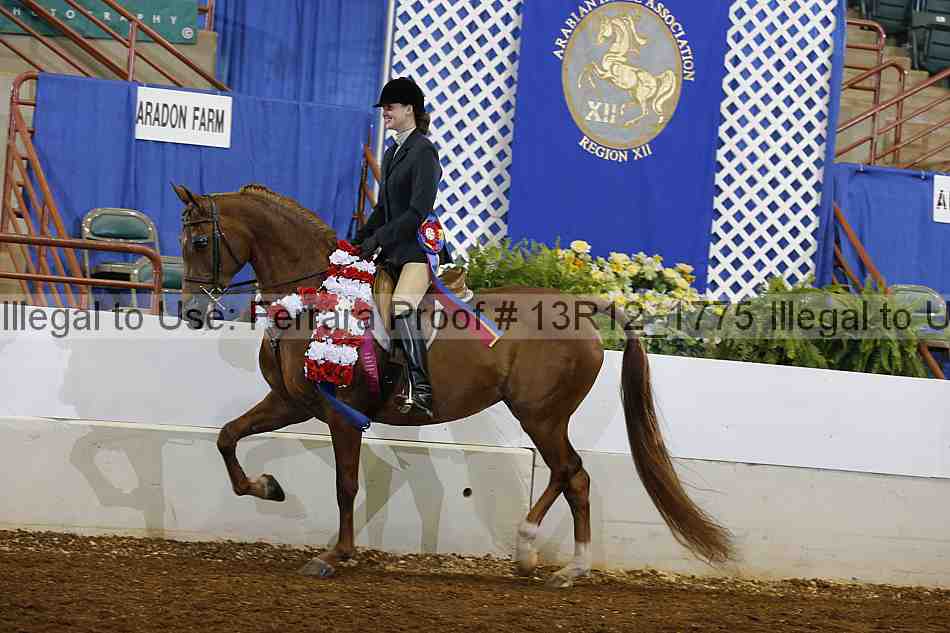 Proof Number 13r12_1775