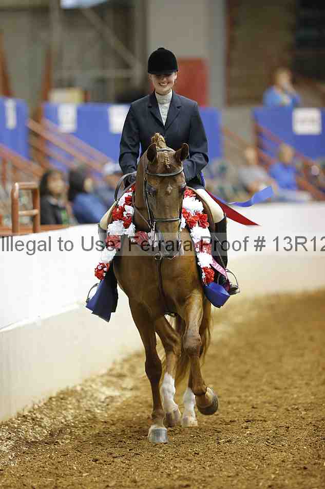 Proof Number 13r12_1778