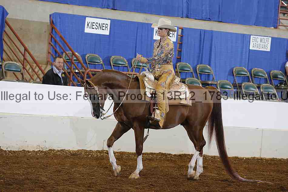 Proof Number 13r12_1783